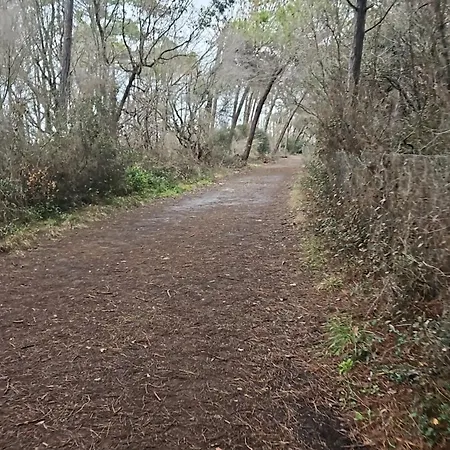 Podere Dell'ovo Séjour à la campagne